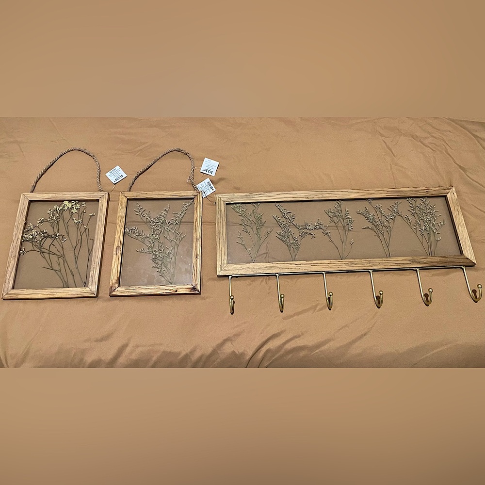 Minimalistic Hobby Lobby Dried Natural Flower Glass & Wood Art & Wall Hooks NWT